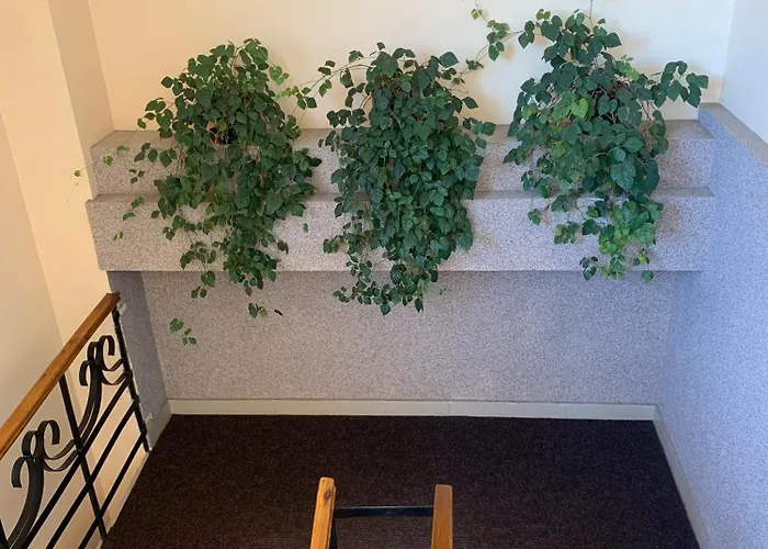 イスクラ リヴィウ